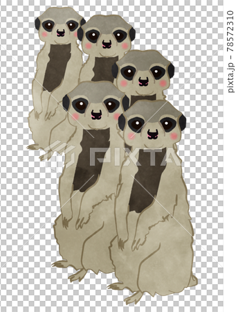 群れてこっちを見ているミーアキャットのイラスト素材