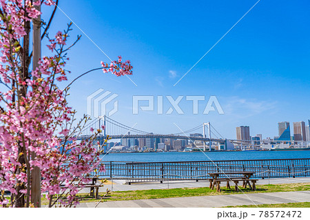 東京の都市風景 豊洲ぐるり公園手ぶらBBQ広場 東京の都市風景 豊洲ぐるり公園手ぶらBBQ広場 78572472