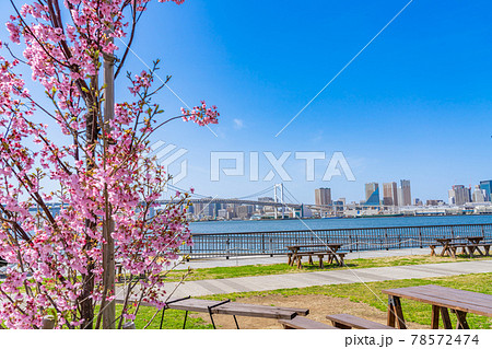 東京の都市風景 豊洲ぐるり公園手ぶらBBQ広場 東京の都市風景 豊洲ぐるり公園手ぶらBBQ広場 78572474