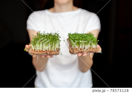 A woman holds micro greens grown at home in her hands. Micro-greens 78573128