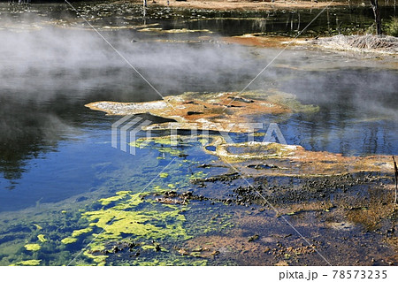 公園内の地熱による湯気が立ち昇るカラフルな温泉【ニュージーランド・ロトルア】 78573235
