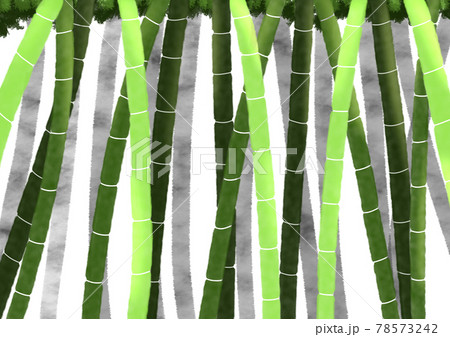 シンプルな竹林のイラスト素材