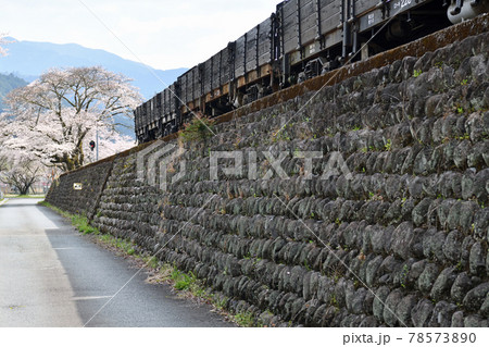 大井川鐵道沿線の旅　桜満開の川根両国駅 78573890