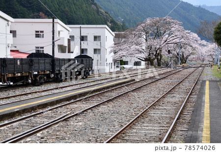 大井川鐵道沿線の旅　桜満開の川根両国駅 78574026