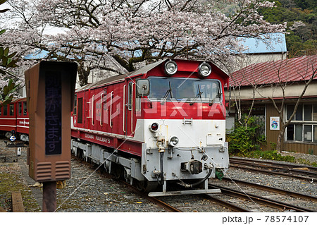 大井川鐵道沿線の旅　桜満開の川根両国駅 78574107