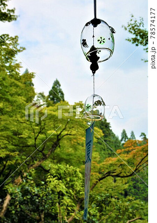 涼し気なガラスの風鈴、ふくろうの寺、佐用町平福の光明寺、夏の風物詩、風鈴祭り 78574177