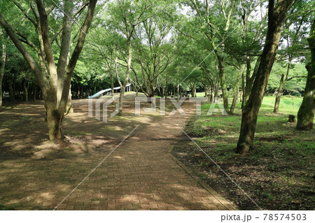 大和市ふれあいの森公園の風景 大和市ふれあいの森公園の風景 78574503