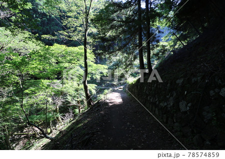 神奈川県の丹沢の大山の登山 78574859