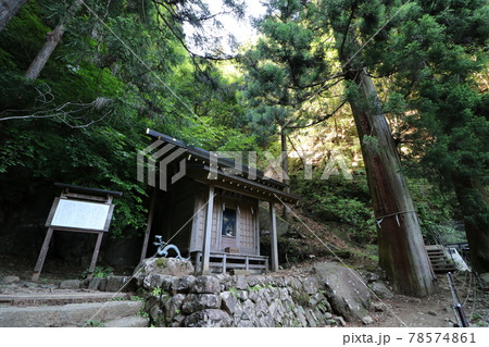 神奈川県の丹沢の大山の登山 神奈川県の丹沢の大山の登山 78574861
