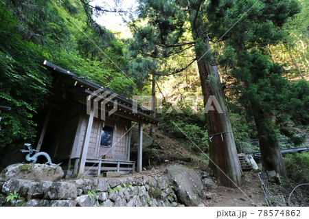 神奈川県の丹沢の大山の登山 神奈川県の丹沢の大山の登山 78574862