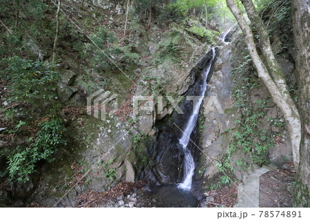 神奈川県の丹沢の大山の二重滝 78574891