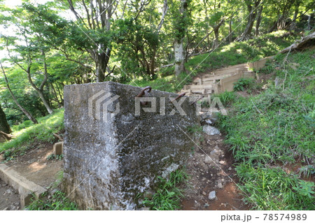 神奈川県の丹沢の大山の登山道 78574989
