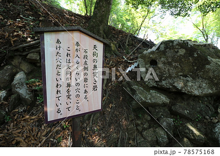 神奈川県の丹沢の大山の登山道 78575168