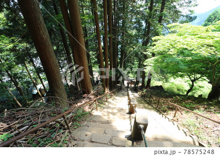 神奈川県の丹沢の大山の阿夫利神社裏の階段 78575248