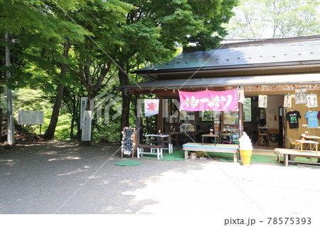神奈川県の丹沢の大山の阿夫利神社下の茶屋 78575393