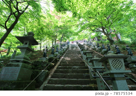 神奈川県の丹沢の大山の阿夫利神社の女坂 78575534