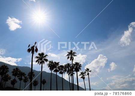 田の浦ビーチ 田の浦ビーチ 78576860