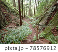 岩間の道 78576912