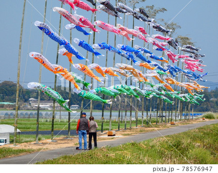 空を泳ぐ鯉のぼり 78576947