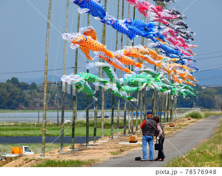 空を泳ぐ鯉のぼり 空を泳ぐ鯉のぼり 78576948