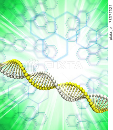 DNA研究と製薬 78577522