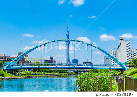 【東京の都市風景】東京スカイツリーと中川ふれあい橋 78578197