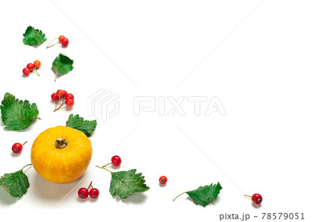 Abstract autumn. Natural food, harvest with orange pumpkin, fall dried leaves, rowan berries isolated on white background. Flat lay, top view, copy space. Abstract autumn. Natural food, harvest with orange pumpkin, fall dried leaves, rowan berries isolated on white background. Flat lay, top view, copy space. 78579051