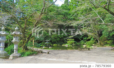 香取神宮 神池 / Katori Jingu God's pond  78579360