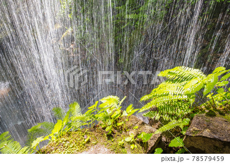 岩井滝の初夏・清流・エコイメージ 78579459