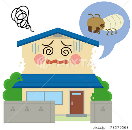住宅　シロアリ 78579563