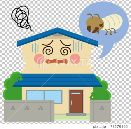 住宅　シロアリ 78579563
