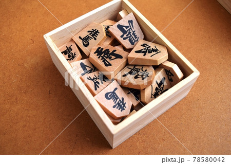 将棋の駒 78580042