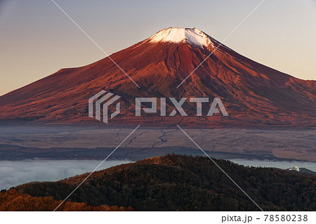山中湖村・石割山から見る朝焼けの富士山 78580238