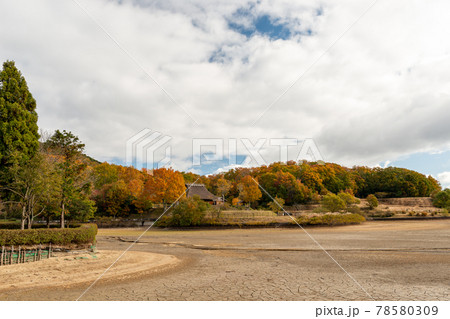 兵庫県三田市、有馬富士公園、水抜きした福島大池 78580309
