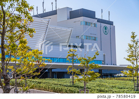 東京の都市風景 豊洲ぐるり公園からみた豊洲市場 水産仲卸売場棟 78580419
