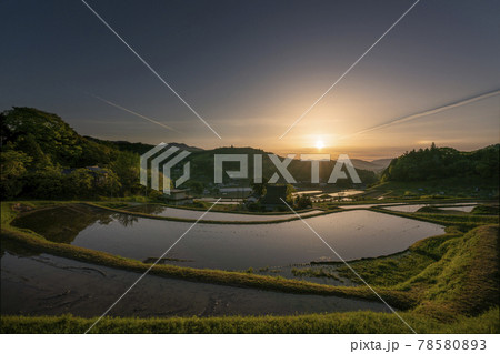 大阪府能勢町長谷で早朝撮影した棚田 78580893