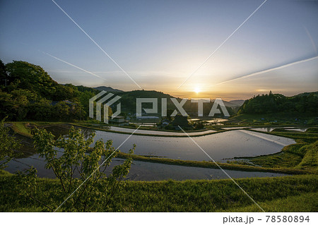 大阪府能勢町長谷で早朝撮影した棚田 78580894