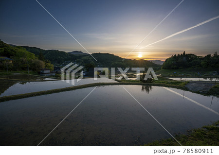 大阪府能勢町長谷で早朝撮影した棚田 78580911