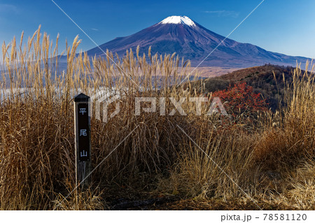 晩秋の平尾山から見る富士山 晩秋の平尾山から見る富士山 78581120