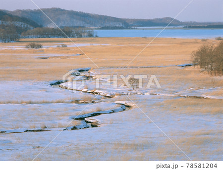 冬の釧路湿原（北海道・標茶町） 78581204