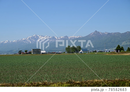 夏の風景 78582683