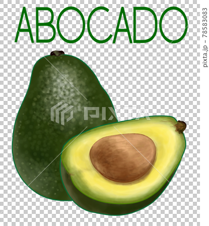 アボカド 78583083