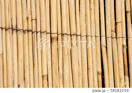 Reed Reed 78583259