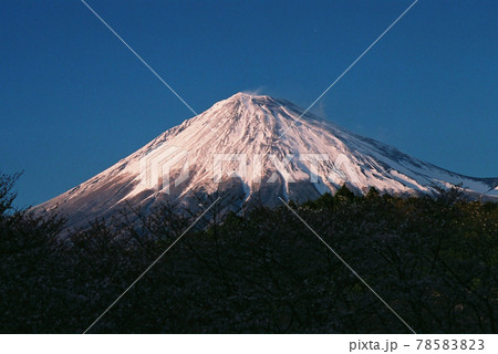 夕日に染まる日本一の富士山 78583823