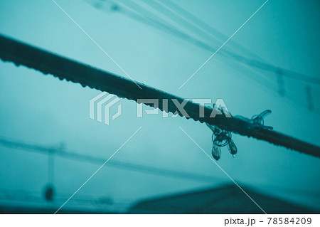雨 78584209