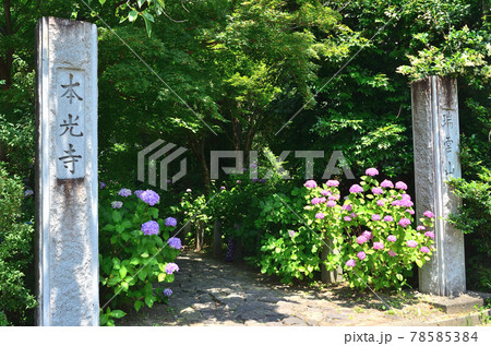 本光寺 本光寺 78585384