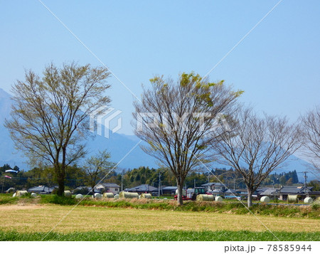 田舎の原風景 78585944