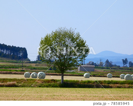 田舎の原風景 78585945