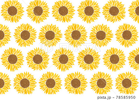 ひまわりのイラストの夏イメージの背景素材のイラスト素材