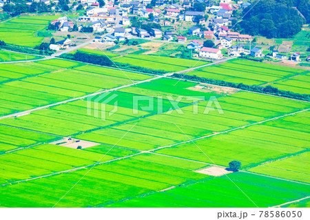 夏の田園風景 夏の田園風景 78586050